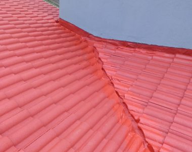 whatsapp image 2026 02 10 at 20.34.46